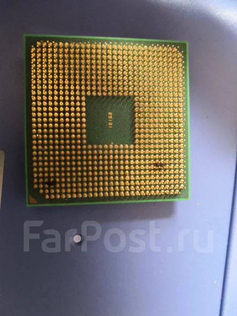 AMD Sempron ����