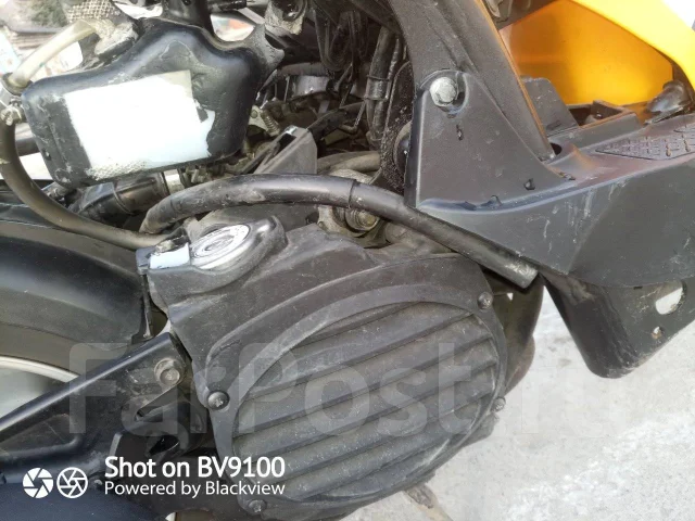 Honda Bite. 49����. ��., ��������, ��� ���, ��� ������� ����