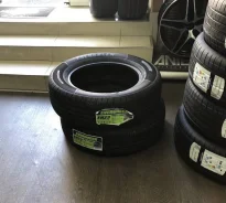 Evergreen EH23. ������, 2023 ���, ����� ����