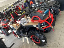Aodes Pathcross ATV 1000 L MUD Pro. ��������, ���� ���\���, ��� ������� ����