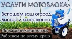 �������� �����, �������, ������, ����, ������ ����������. ������ ����