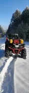 Stels ATV 800G Guepard Trophy Pro. ��������, ��, �� ����