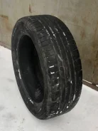 Nordman SZ. ������, 2018 ���, �/�, ����� 40 % ����