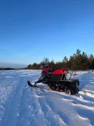 Irbis Dingo T150. ��������, ��, �� ����