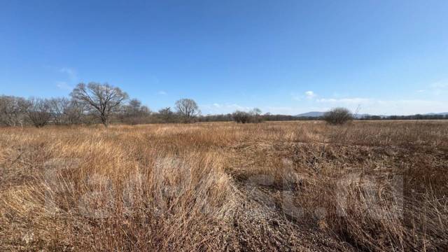 пружина пластинчатая для аккумуляторной шуруповерта интерскол. кривые рельсы. 434. Belmil ранец customize-me miss ladybug. Bernstein 5-110.