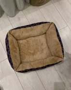 �������, ���������. ����