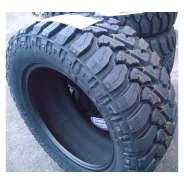 Nexen Roadian MTX. ������, 2023 ���, ����� ����