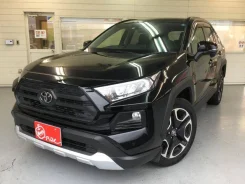 Toyota RAV4. ��������, 4wd, 2.0 (171��.�.), ������, 25 000����. ��, �/�, ��� ���. ��� ����� �� ������������ ����