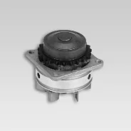 P737_�����! Nissan Maxima/ p737 HEPU P737 ����