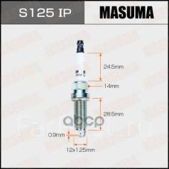   Masuma S125ip Iridium + Platinum (Dilkar7c9h) Nissan Pathfinder 14- Masuma . S125IP S125IP 