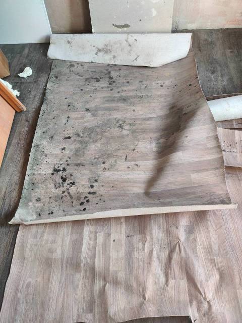 Отдам дверь с коробкой и линолеум во Владивостоке