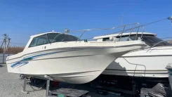 Nissan Suncruise. 2014 ���, ����� 7,5��., 130��.�., ������ ����