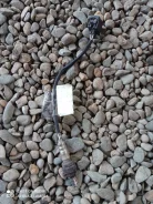 ������ ���� mercedes w169 A0035428118 A0035428118 ����
