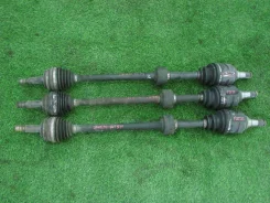 ������ Toyota Wish ZNE10 1ZZ-FE �������� ������ (�� �� ��) 4341012670 ����