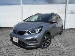 Honda Fit. ��������, 4wd, 1.5 (106��.�.), ������, 22 000����. ��, �/�. ��� ����� �� ������������ ����