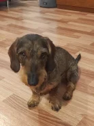 �����. ����