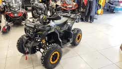 Motax ATV Grizlik T200 Lux. ��������, ��� ���\���, ��� ������� ����