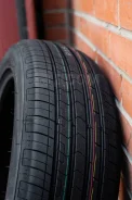 ZMax Zealion. ������, 2023 ���, �����. ��� ����� �� ������ ����