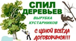����, ������ ��������. ��������� �������. ������� �����������. ����� ����� ����