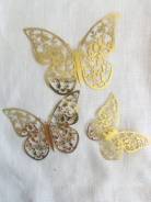 ��������� ��� �����. ����