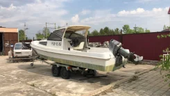 Yamaha Fish 22. 1990 ���, ����� 6,5��., ��������� ���������, 60��.�., ������ ����