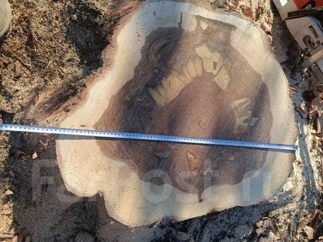Слэб дубовый, доска дубовая, спил, в наличии во Владивостоке