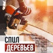 ���� ��������-�����, ������� ��������, ���� ����������� ���������� ����
