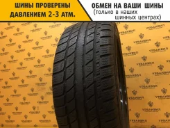 GT Radial Champiro WT-AX