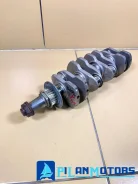 ���������. ����