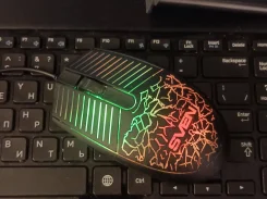���� ������������. ����