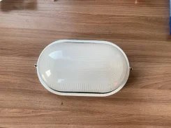 �����������. ����