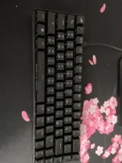 ����������. ����