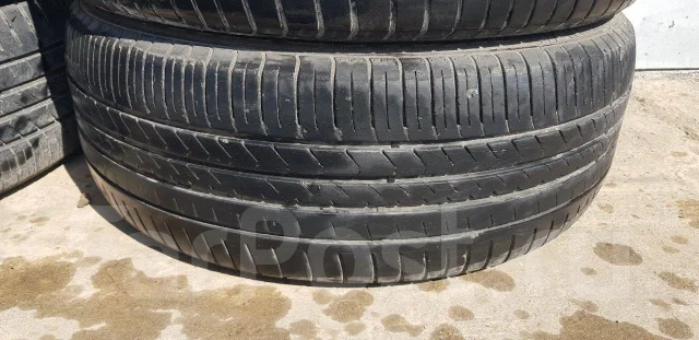 WinRun. ������, 2019 ���, �/�, ����� 20 % ����