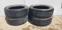 WinRun. ������, 2019 ���, �/�, ����� 20 % ����