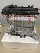 ��������� G4FG 1.6 Z71412BZ00 ����