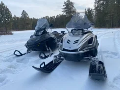 Yamaha Viking Professional. ��������, ��, �� ����