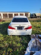 Nissan Fuga. Y50, Y50 ����