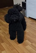 ������. ����