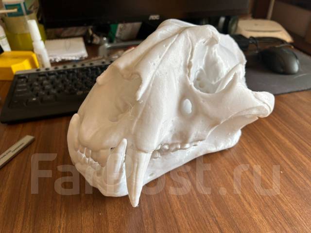 3D-������. ����