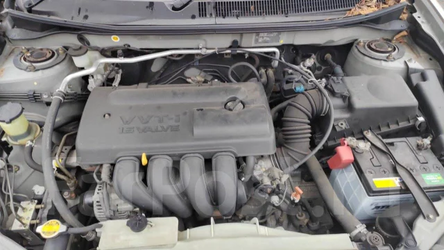 Toyota Voltz. ZZE138, 1ZZFE ����