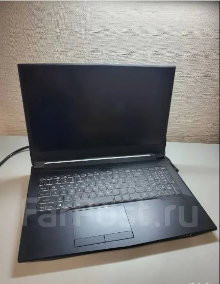 Clevo. 16.1", 144����, ��� 16 ��, ���� 512���, WiFi: 1, Bluetooth: 1, ����������� �� 6��. ����