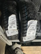 Nordman 8. ������, ����������, 2025 ���, ����� ����