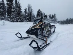 BRP Ski-Doo Summit. ��������, ��, �� ����