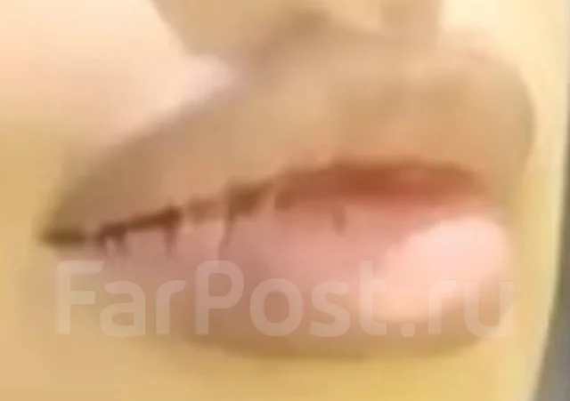 Amy Rose Walker Lips Mouth ����
