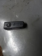 Alligator ����