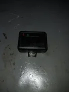 Alligator ����