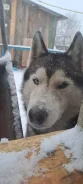 �����. ����