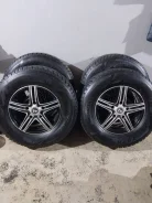 Zeta Antarctica Sport. ������, ��� ����, 2021 ���, �/�, ����� 5 %. �������� ������� ����