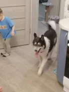 �����. ����