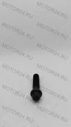 �/� �������� (���� M10x1-40 Torx ) Wabco PAN17/19 Freenco 35015 35015 ����